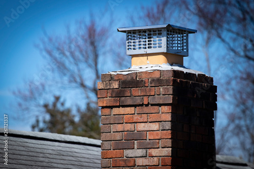 Chimney cap installed to prevent rodent entry to home/attic/building