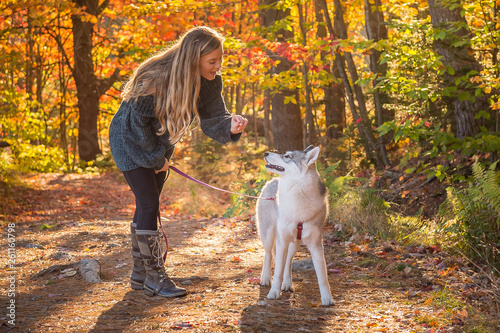 Woman walks with her husky dog, talking to him, in the woods on a glorious fall day with beautiful New England color.