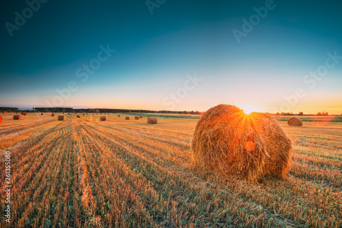 Rural Landscape Field Meadow With Hay Bales During Harvest In Sunny Evening. Late Summer