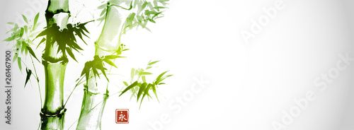 Green bamboo trees on white background. Traditional Japanese ink wash painting sumi-e. Hieroglyph- eternity 