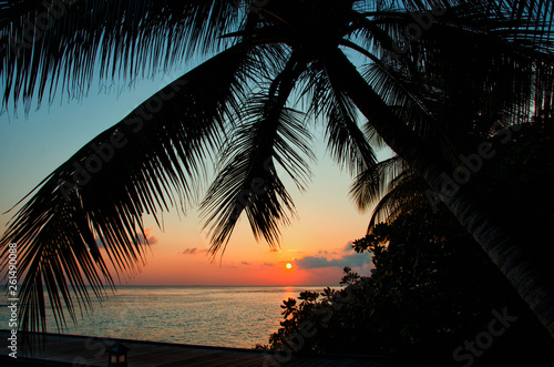 Silhouette of palm tree leaves on the background of a beautiful glowing sunset on Maldives Islands. Night landscape