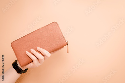 web banner design for woman fashion in spring and summer concept with beauty woman hand hold modern brown leather purse or wallet in left hand with pastel color background