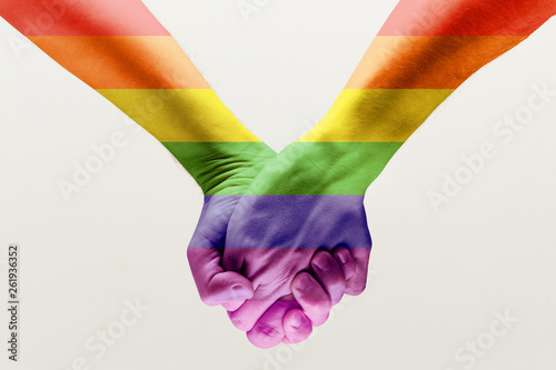 Right to choose your own way. loseup shot of a gay couple holding hands, patterned as the rainbow flag isolated on white studio background. Concept of LGBT, activism, community and freedom.