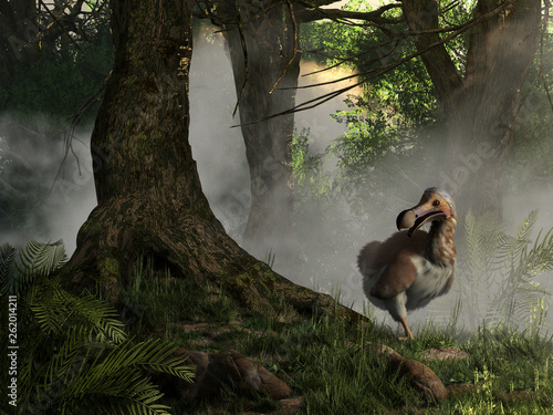 A brown and white dodo bird emerges from the jungle mists. Dodos are an extinct bird that once inhabited the island of Mauritia. 3D Rendering