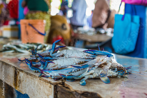 Blaue Krebse am Fischmarkt