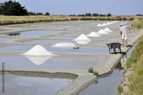 Marais salant de Guérande