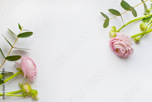 Frame of flowers, pink and orange ranunculus flowers and eucalyptus branches on white background. Flat lay, top view.