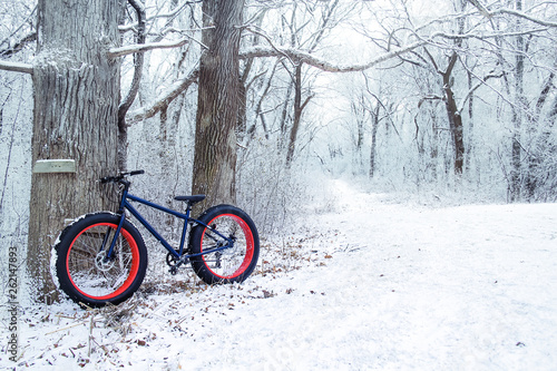 Winter biking, fat tire bike leaning on a tree by the bike path