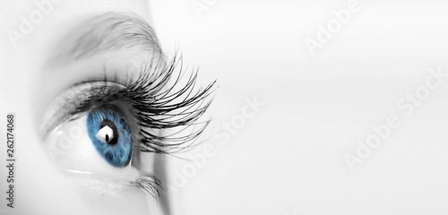 Female eye with long eyelashes close-up