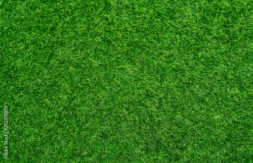 Real green grass field
