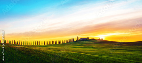 Beautiful magical landscape with a field and a line of cypress in Tuscany, Italy at sunrise