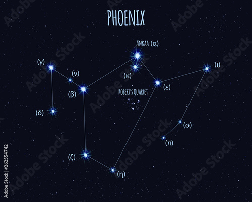 Phoenix constellation, vector illustration with the names of basic stars against the starry sky