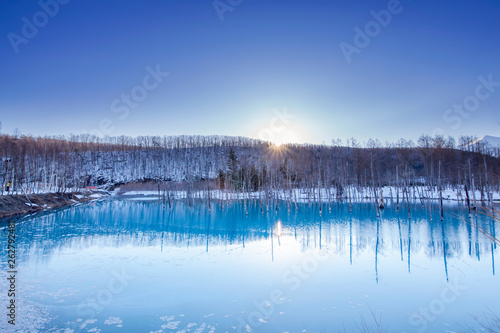 Blue Pond in Biei, Hokkaido, Japan