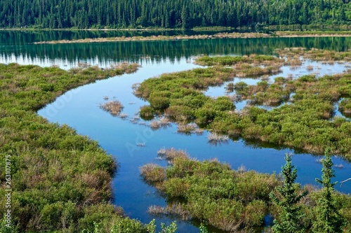 Reservoir Wetlands