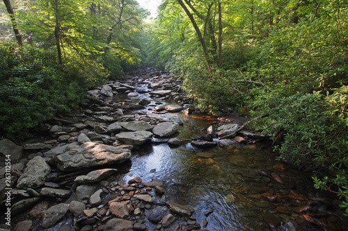 Trailside creek in the Great Smoky Mountains National Park, Tennessee, in early summer.