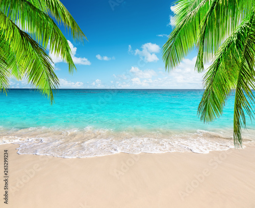 Coconut palm trees against blue sky and beautiful beach