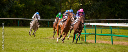 Course de chevaux au galop