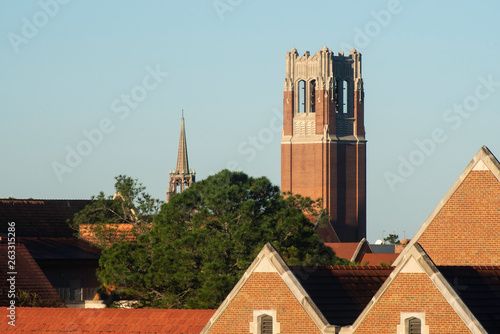 A distant view of The University of Florida in the morning