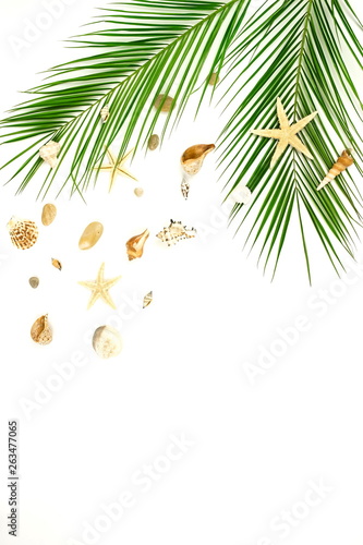 tropical green palm leaves ,branches pattern frame and seasheels on a white background. top view.copy space.abstract.