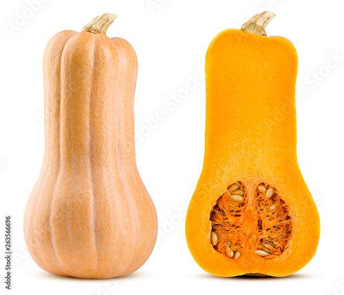 pumpkin butternut squash isolated on white background, full depth of field