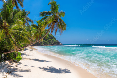 Sunny beach with palm trees and turquoise sea in Jamaica Caribbean island. 