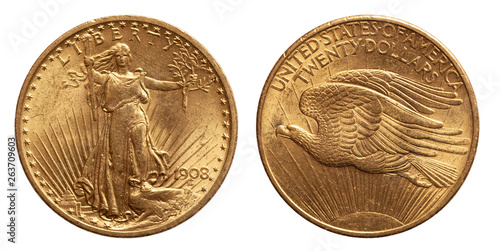 US Twenty 20 Dollars Gold Coin isolated of whtie background