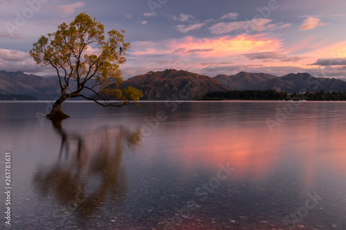 Tranquil scenery of the Wanaka lake, New Zealand