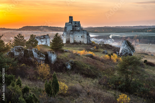 Zamek Mirów