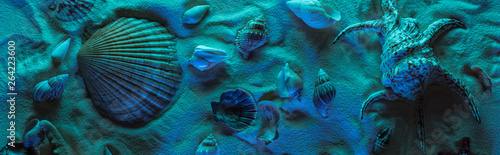 panoramic shot of seashells on sand with blue light