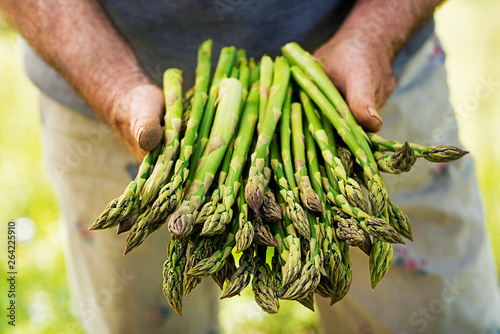 Asparagus