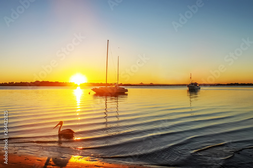 A pelican floats near shore and two sailboats are moored farther out as the sun sets casting a stream of fire across the water on Bribie Island in Australia with volcanic Glass House mountains in the 