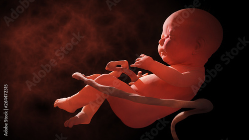 Child in the womb, embryo. 3d rendering 