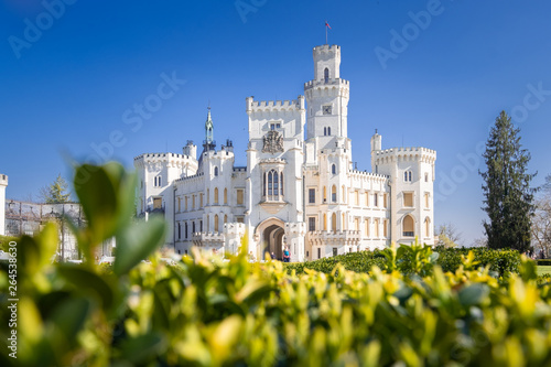 Schloss Hluboka Tschechien