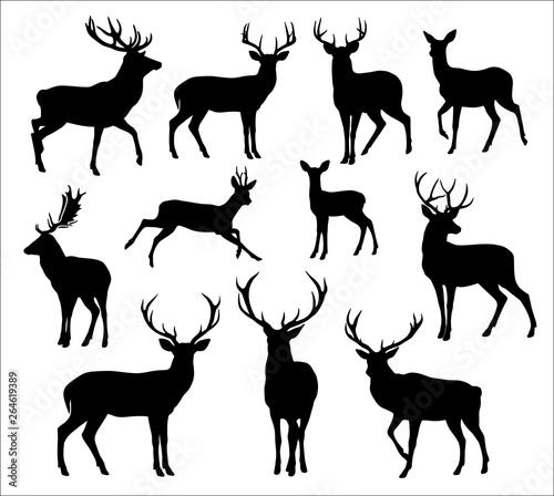 Graphic black silhouettes of wild deers – male, female and roe deer