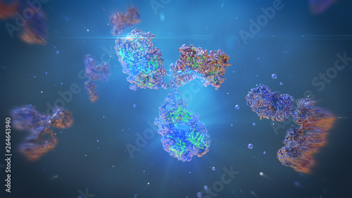 Human monoclonal antibody to fight cancer