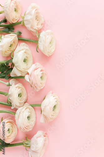 Pastel pink ranunculus flowers bouquet on pink background. Minimal floral concept. Flat lay, top view.