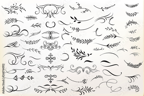 Big collection of vector calligraphic flourishes for design