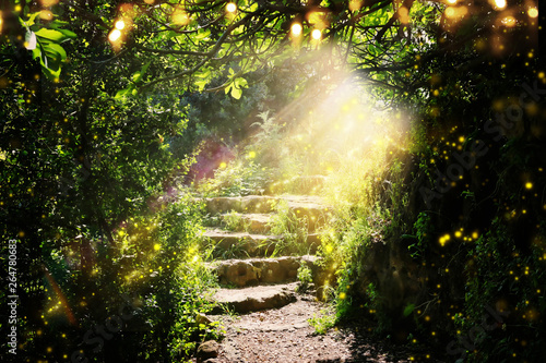 Road and stone stairs in magical and mysterious dark forest with mystical sun light and firefly. Fairy tale concept
