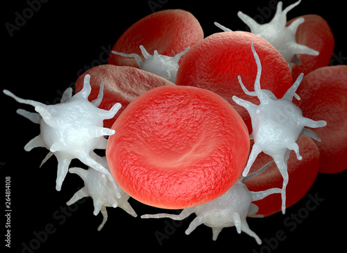 Red blood cells and activated platelets or thrombocytes