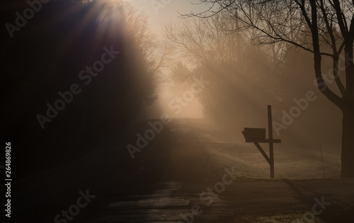 Sunbeams through the mist on a country road