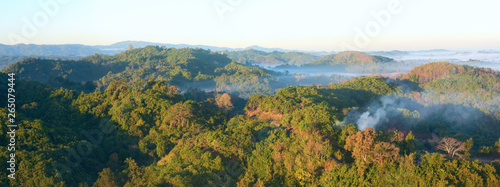 panoramic view in the early morning over the rain forest