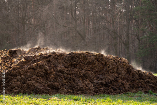 A pile of manure on an agricultural field for growing bio products