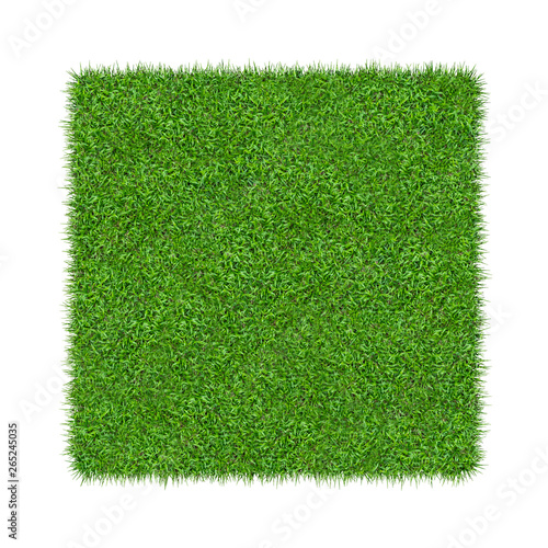 3D render of green grass. Natural texture background. Fresh spring green grass. isolated on white background.