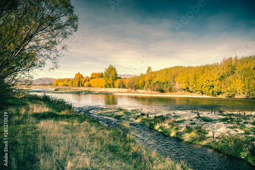 River through foreset in autumn