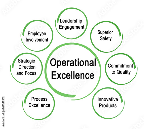 Drivers of Operational Excellence .