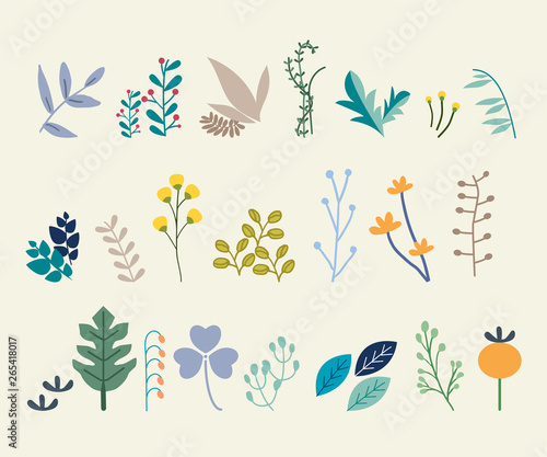 Set of abstract leaves. Vector design elements
