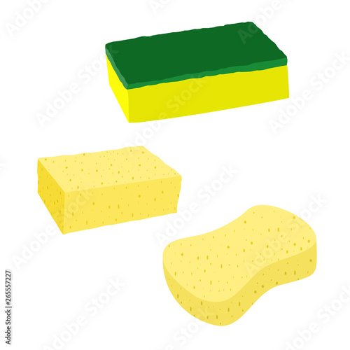 Vector illustration of a kind of sponge for washing items in a kitchen with a white background