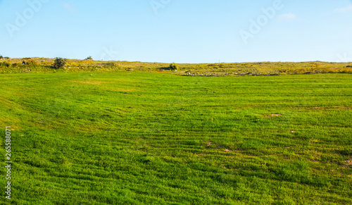 Rural landscape with green cultivations and blue sky, south italy