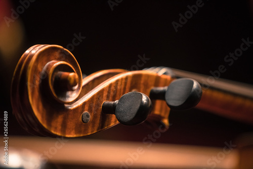 Double bass scroll and tuning pegs