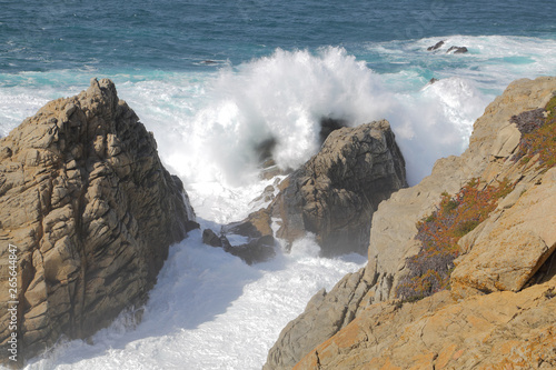 Point Lobos Surf